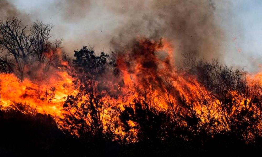 Prevención de incendios agrícolas: una prioridad para Protección Civil en Huejutla