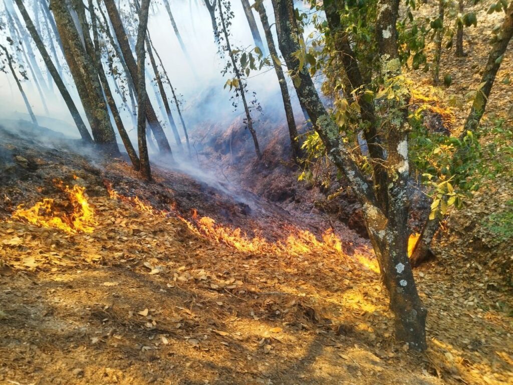 Fuerte incendio en Mineral del Chico
