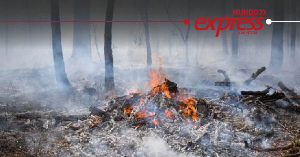 Inicia investigación por incendio en Mineral del Chico originado por quema de basura