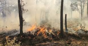 Controlan 70% de incendio en Sierra Gorda de Hidalgo