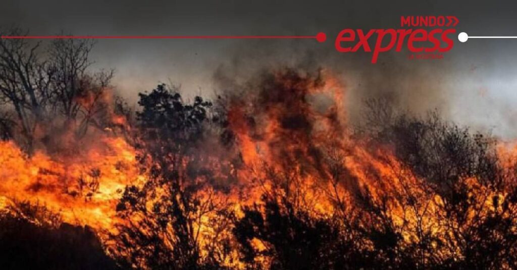 Incendios en Huejutla movilizan a cuerpos de emergencia y desatan alerta de prevención