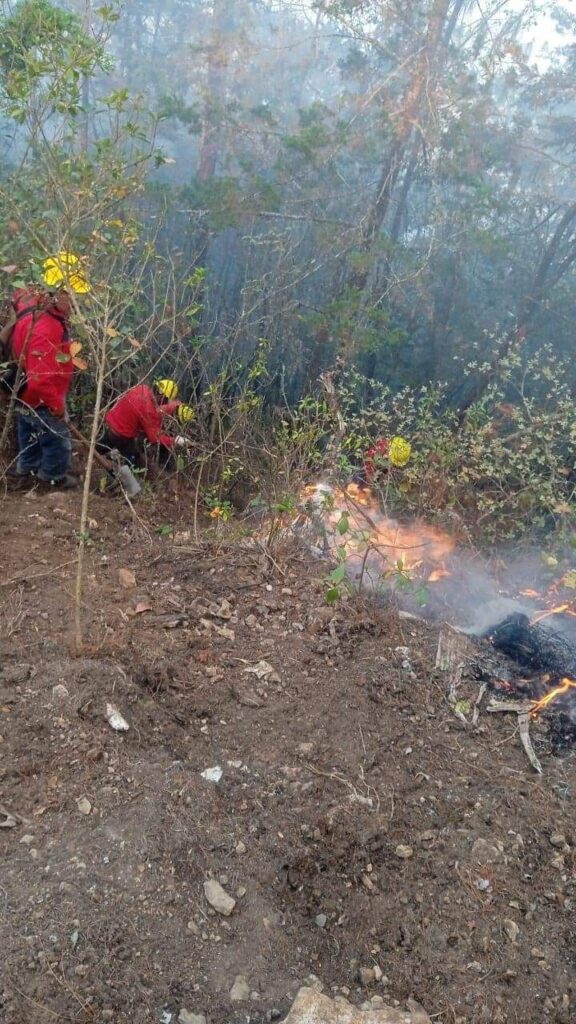 Continúan los trabajos intensos para controlar incendio en Tenango de Doria