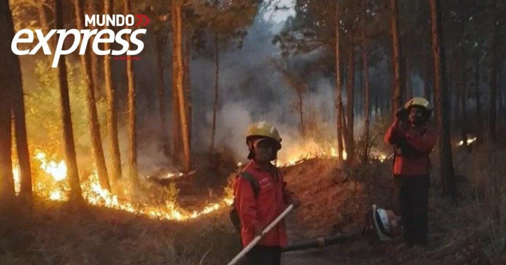 Incendios en Tenango y Zacualtipán Bajo Control
