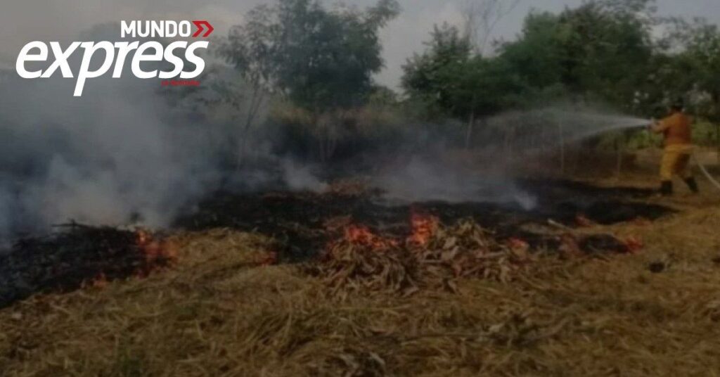 ¡Llaman en Huejutla a no quemar basura!