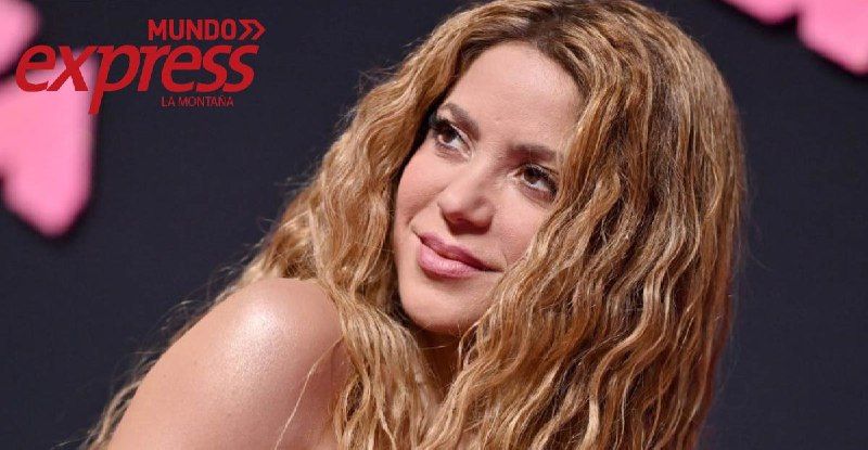 Shakira presentará un número musical en la final de la Copa América