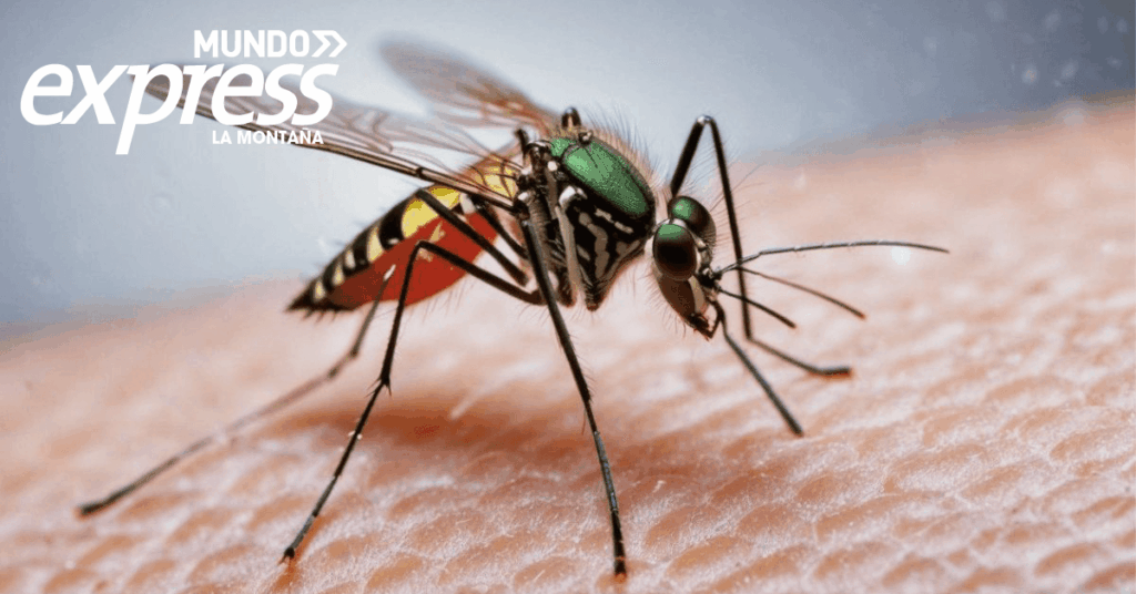 Alertan por plaga de zancudos en Huejutla