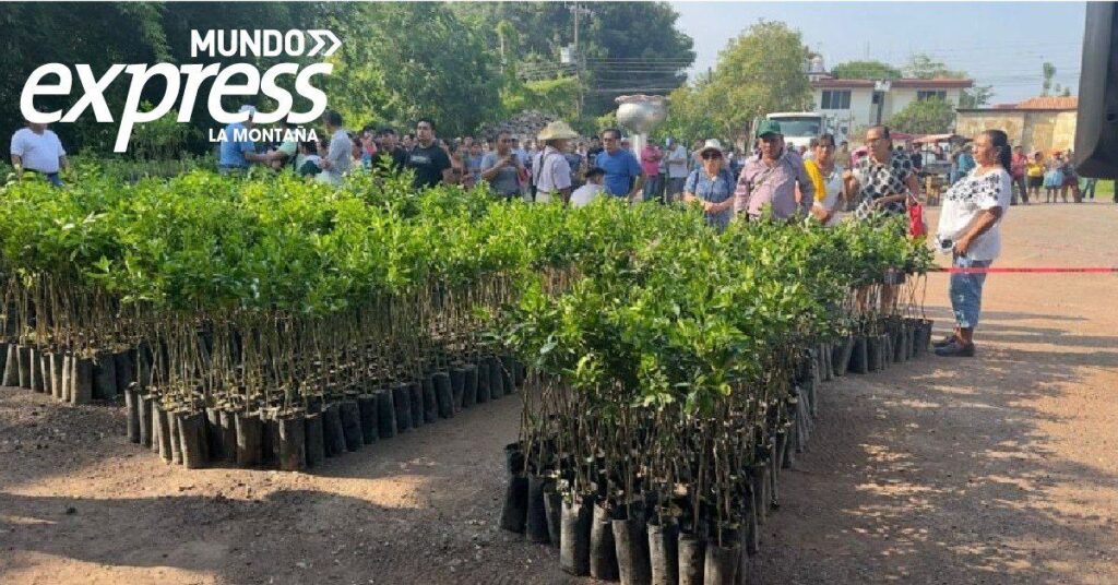 Entregan 6 mil árboles en Huejutla