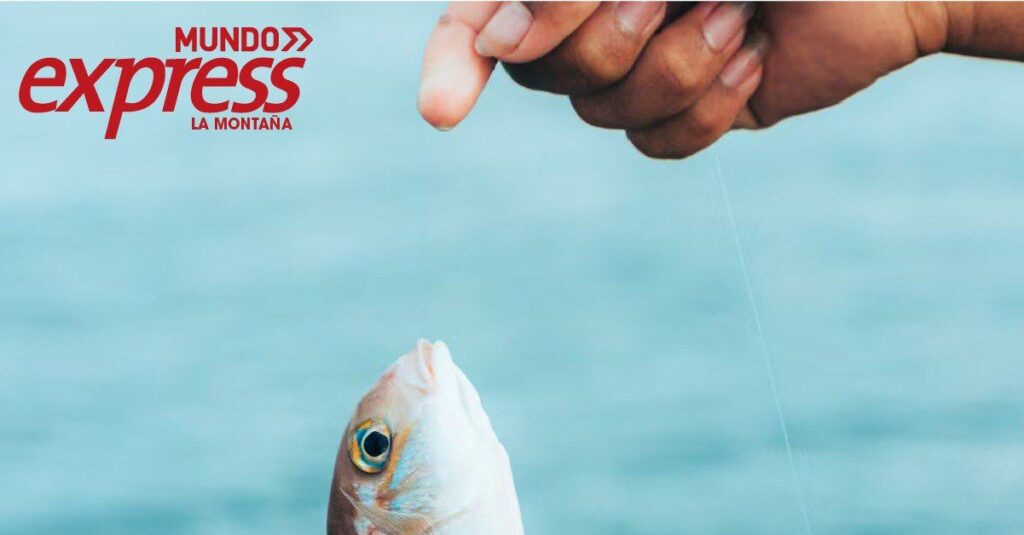 Huasca albergará 4to Campeonato de Pesca Inclusiva