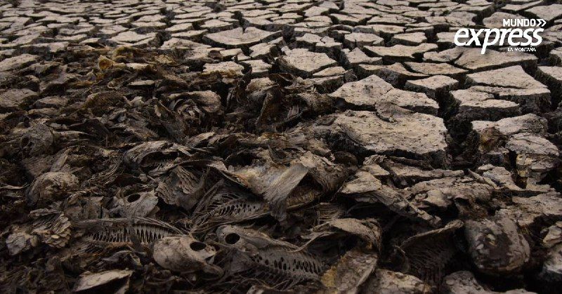 Hidalgo fortalece pesca tras crisis de sequías