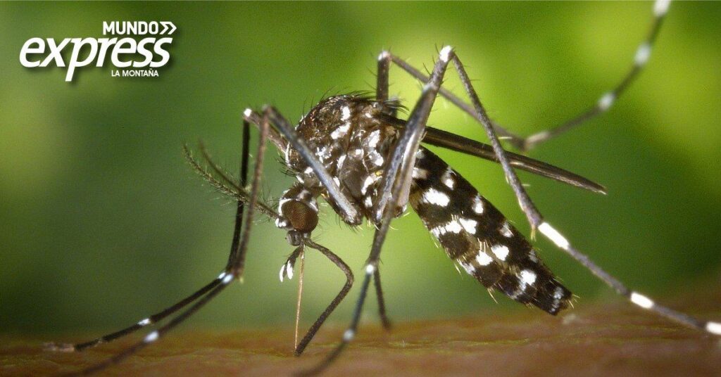 Aumentan casos de Dengue en Hidalgo