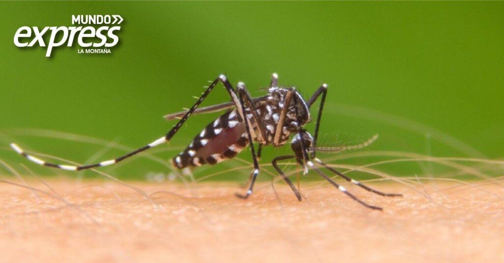 Incremento en casos de Dengue en Huejutla