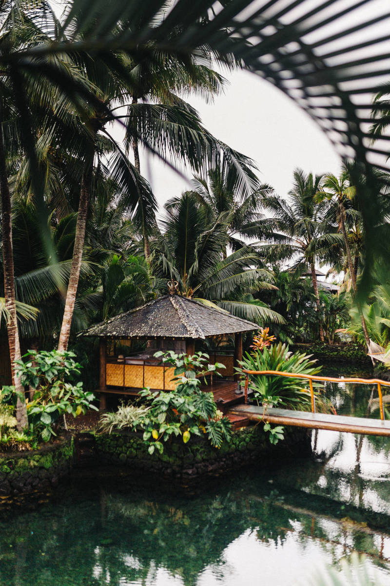 Review: 50 Easy Travelling Habits That Help You Live Longer