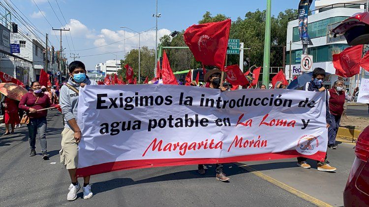 Trascendido: Garganta no tan Profunda (9 de enero)