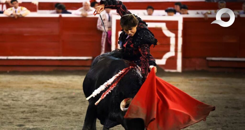 Hidalgo en debate: Propuesta para prohibir las corridas de toros divide opiniones